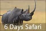 6 Days Masai Mara, Lake Nakuru National Park, Lake Naivasha and Amboseli National Park Safari from Nairobi